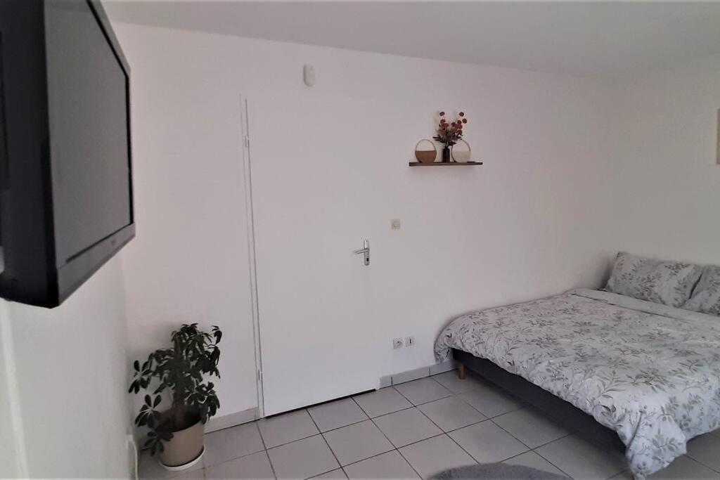 Studio Charmant Et Moderne Grand Confort Toulouse Exterior photo
